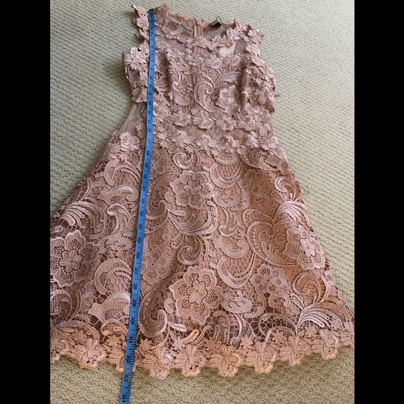 NEW $190 Topshop Scallop Lace Dress in Rose Pink - Picture 12 of 12